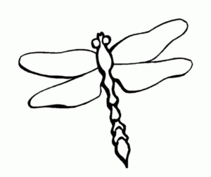 Disegno di libellula da stampare e colorare 34
