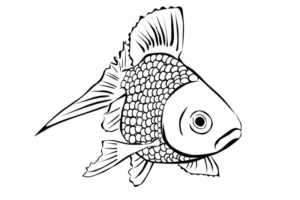 Disegno di pesce da stampare e colorare 170