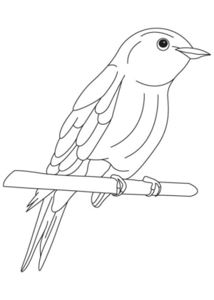 Disegno di passero da stampare e colorare 79