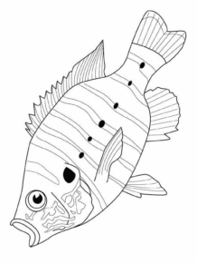 Disegno di pesce da stampare e colorare 314