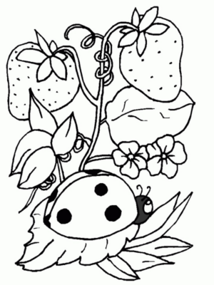 Disegno di fragola da stampare e colorare 9