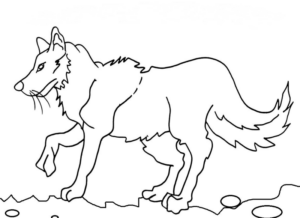Disegno di lupo da stampare e colorare 54