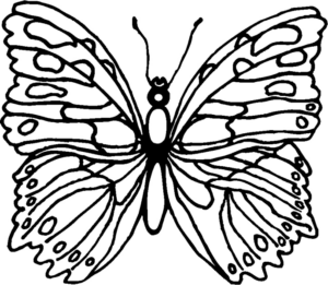 Disegno di farfalla da stampare e colorare 227