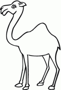 Disegno di dromedario da stampare e colorare 25
