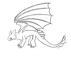 Disegno di Dragon Trainer da stampare e colorare 5