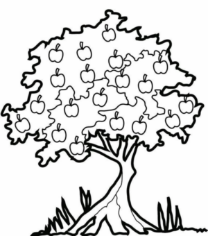 Disegno di mela da stampare e colorare 69