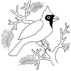 Disegno di uccello da stampare e colorare 79