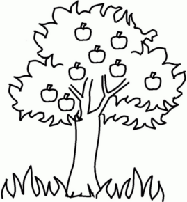 Disegno di albero da frutta da stampare e colorare 1