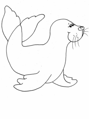 Disegno di foca da stampare e colorare 21