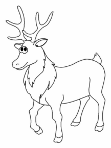 Disegno di cervo da stampare e colorare 50