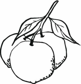 Disegno di mandarino da stampare e colorare 9
