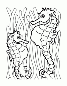 Disegno di cavalluccio marino da stampare e colorare 12