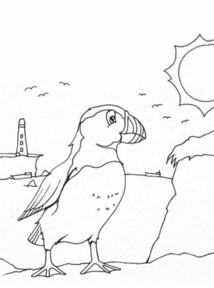 Disegno di tucano da stampare e colorare 16