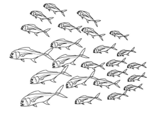 Disegno di pesce da stampare e colorare 316