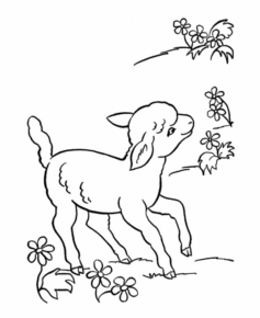 Disegno di pecora da stampare e colorare 24