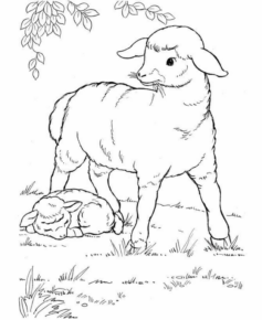 Disegno di pecora da stampare e colorare 75