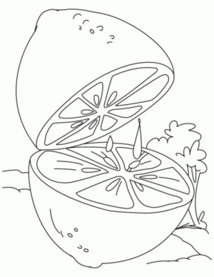 Disegno di limone da stampare e colorare 13