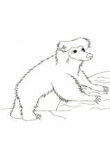 Disegni di Formichieri da colorare