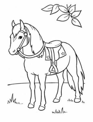 Disegno di cavallo da stampare e colorare 211