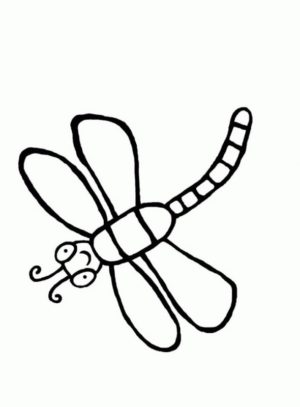 Disegno di libellula da stampare e colorare 13