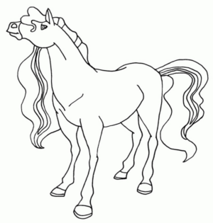 Disegno di cavallo da stampare e colorare 162