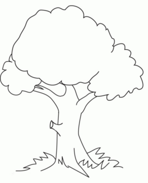 Disegno di albero da stampare e colorare 3
