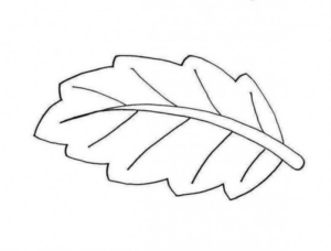 Disegno di foglia da stampare e colorare 212