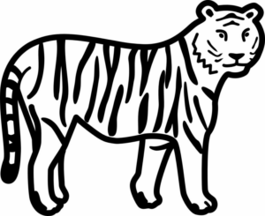 Disegno di tigre da stampare e colorare 62
