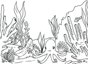 Disegno di polpo da stampare e colorare 32