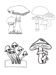 Disegno di fungo da stampare e colorare 9