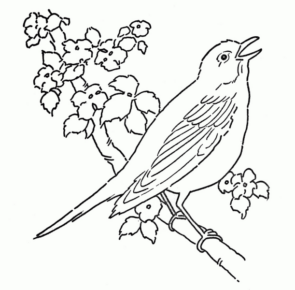 Disegno di passero da stampare e colorare 65