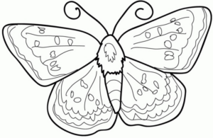 Disegno di farfalla da stampare e colorare 100