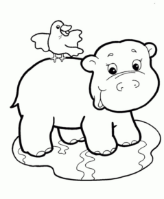 Disegno di ippopotamo da stampare e colorare 38