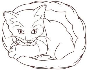 Disegno di gatto da stampare e colorare 265