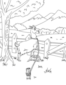 Disegno di capra da stampare e colorare 37