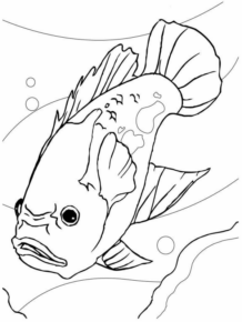 Disegno di pesce da stampare e colorare 268