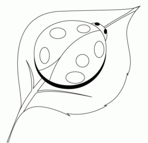Disegno di coccinella da stampare e colorare 21