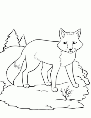 Disegno di volpe da stampare e colorare