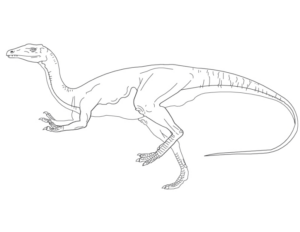 Disegno di Velociraptor da stampare e colorare 1