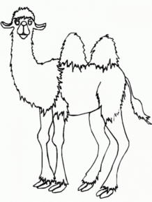 Disegno di cammello da stampare e colorare 7