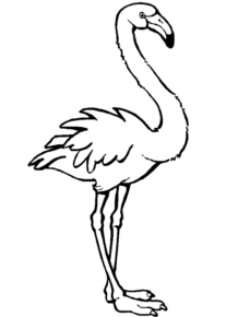 Disegno di fenicottero da stampare e colorare 25