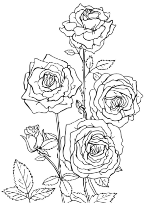 Disegno di fiore da stampare e colorare 466