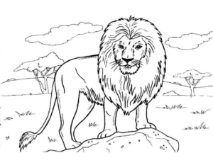 Disegno di leone da stampare e colorare 82