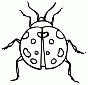 Disegno di coccinella da stampare e colorare 22