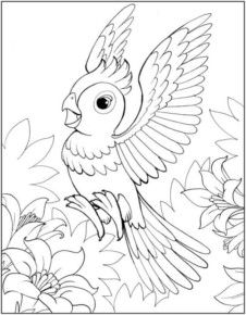 Disegno di pappagallo da stampare e colorare 47