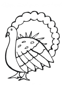 Disegno di tacchino da stampare e colorare 71