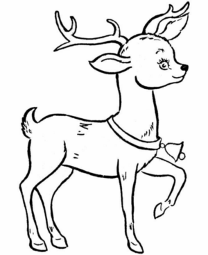 Disegno di cervo da stampare e colorare 40