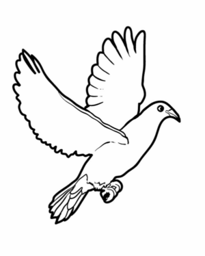 Disegno di colomba da stampare e colorare 45