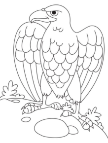 Disegno di aquila da stampare e colorare 13
