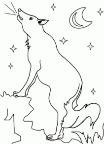 Disegno di lupo da stampare e colorare 41